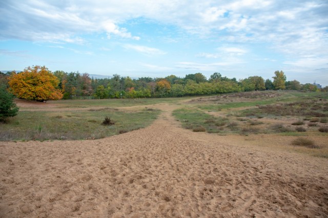 The tactical training area at the Mainz Sand Dunes Local Training Area near Mainz, Germany, Oct. 22, 2020 (U.S. Army photo by Alfredo Barraza)