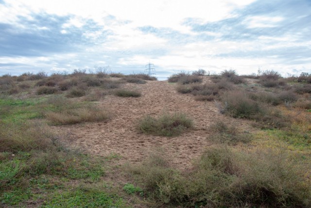 The tactical training area at the Mainz Sand Dunes Local Training Area near Mainz, Germany, Oct. 22, 2020 (U.S. Army photo by Alfredo Barraza)