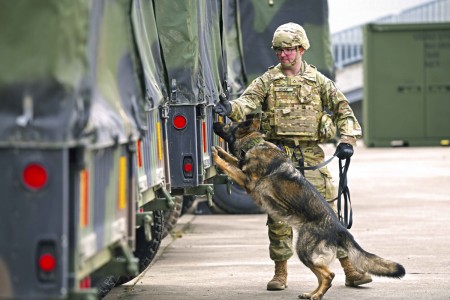 An Army military working dog and its handler undergo certification tests in Stuttgart, Germany, April 15, 2021.