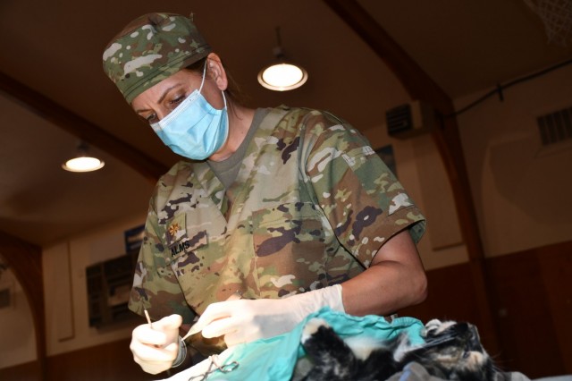 U.S. Army Reserve Maj. Emilee Alms, a veterinarian with the 7351st VET Detachment, 7214 Medical Support Unit and an Arden Hills, Minn. resident, conducts a spay surgery on a kitten at the Fort Belknap Indian Reservation.
The 7214th MSU was conducting Innovative Readiness Training in support of Operation Walking Shield, a program that teams federal agencies with American Indian groups to help improve living conditions on American Indian reservations. Innovative Readiness Training is an opportunity that provides training for our military personnel to ensure deployment readiness while addressing needs within America’s local communities.
For this IRT project, 35 U.S. Army Reserve Soldiers assigned to Army Reserve Medical Command’s 7214th MSU based in Garden Grove, California in partnership with the Fort Belknap Agency and Hays Clinic, offered health care services at the Fort Belknap Agency and Hays Clinic on the Fort Belknap Reservation, Montana from July 18-31. The project supported a tribal population of more than 5,800 people. 
The medical professionals supporting this mission included physicians, physician assistants, nurses, a psychologist, a behavioral health technician, a pharmacist and pharmacy technician, dentists, dental assistants, medics and several support staff.  
Medical services provided included general medicine, health exams, behavioral health, dental exams and services, veterinary services, public education and other health care services.