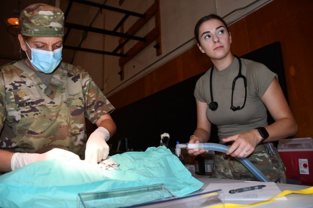 U.S. Army Reserve Maj. Emilee Alms, a veterinarian with the 7351st VET Detachment, 7214 Medical Support Unit and an Arden Hills, Minn. resident, conducts a spay surgery on a kitten assisted by U.S. Army Reserve Sgt. Jamie Stroup, an animal care specialist with the 7351 VET Detachment and a Modesto, Calif. native.
The 7214th MSU was conducting Innovative Readiness Training in support of Operation Walking Shield, a program that teams federal agencies with American Indian groups to help improve living conditions on American Indian reservations. Innovative Readiness Training is an opportunity that provides training for our military personnel to ensure deployment readiness while addressing needs within America’s local communities.
For this IRT project, 35 U.S. Army Reserve Soldiers assigned to Army Reserve Medical Command’s 7214th MSU based in Garden Grove, California in partnership with the Fort Belknap Agency and Hays Clinic, offered health care services at the Fort Belknap Agency and Hays Clinic on the Fort Belknap Reservation, Montana from July 18-31. The project supported a tribal population of more than 5,800 people. 
The medical professionals supporting this mission included physicians, physician assistants, nurses, a psychologist, a behavioral health technician, a pharmacist and pharmacy technician, dentists, dental assistants, medics and several support staff.  
Medical services provided included general medicine, health exams, behavioral health, dental exams and services, veterinary services, public education and other health care services.