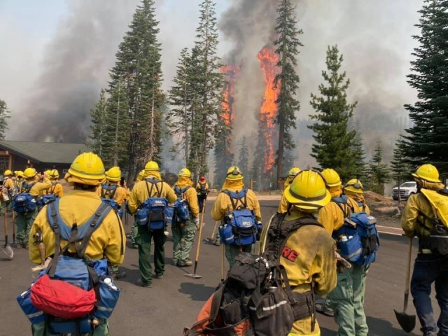 Trees burn within eyesight of a California National Guard hand crew with Joint Task Force 578 during the Dixie Fire in Northern California Aug. 16, 2021. The task force is part of the mutual aid system in support of CAL FIRE. (U.S. Army National Guard photo by 1st Sgt. Harley Ramirez)